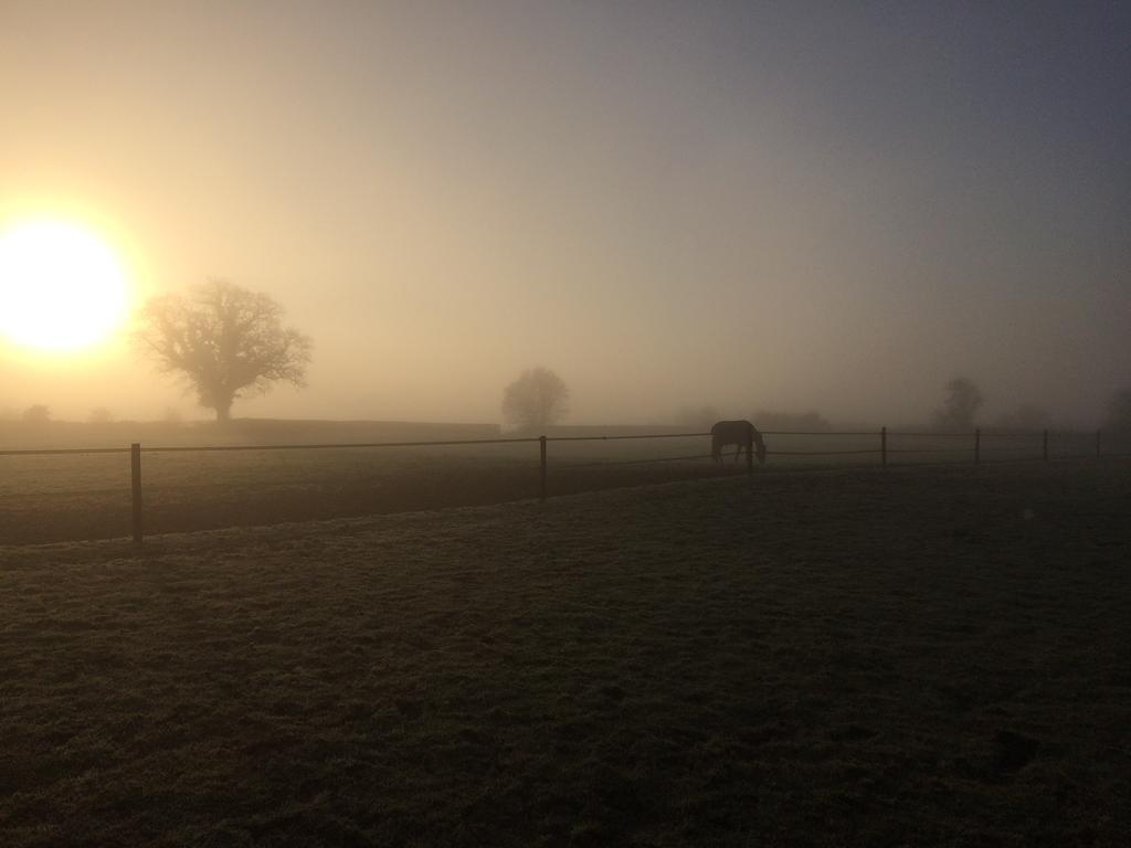 Great Ashley Farm Bed And Breakfast & Shepherds Huts Bradford-On-Avon Kültér fotó